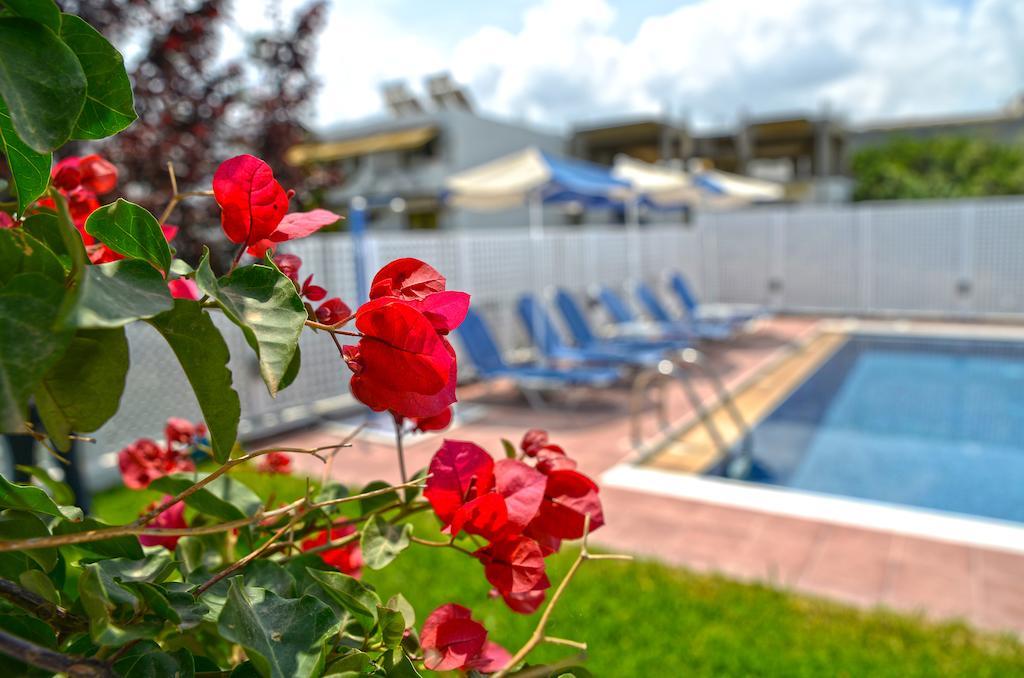Oliv Apartments Platanés Quarto foto